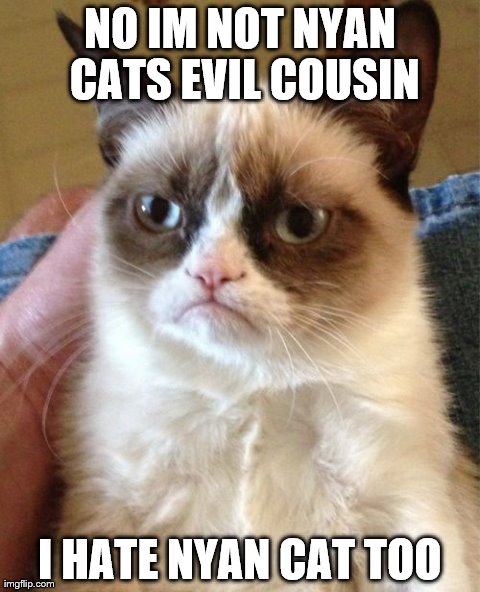 cute-funny-Cat-meme-5