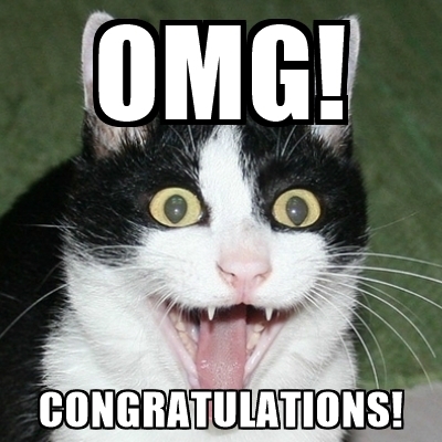 cute-funny-Cat-meme-6