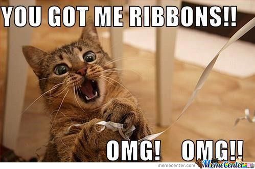 cute-funny-Cat-meme-7