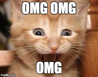 cute-funny-Cat-meme-8