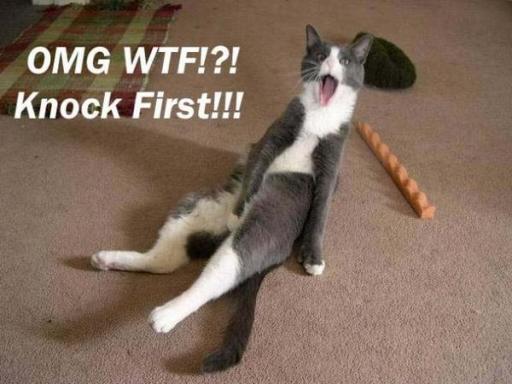 cute-funny-Cat-meme-11