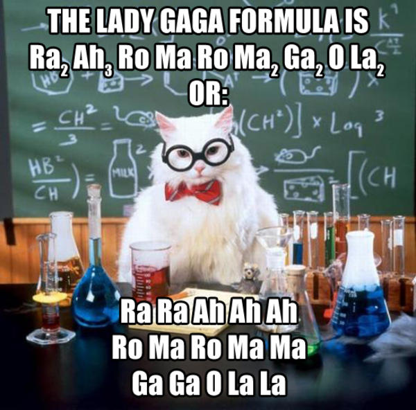 cute-funny-Cat-meme-17