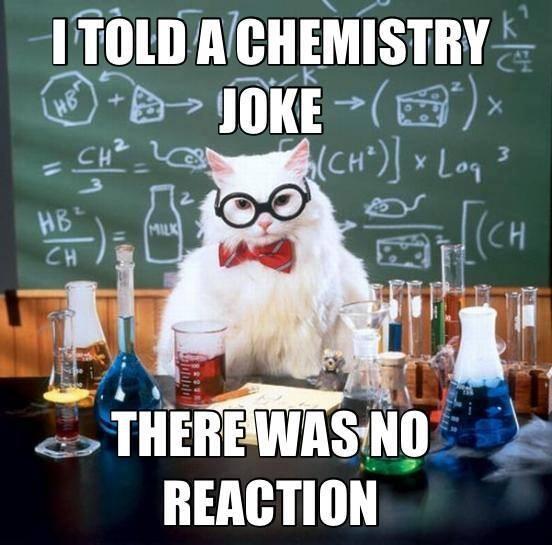 cute-funny-Cat-meme-18