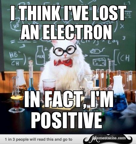 cute-funny-Cat-meme-19