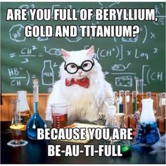 cute-funny-Cat-meme-20