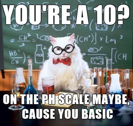 cute-funny-Cat-meme-21