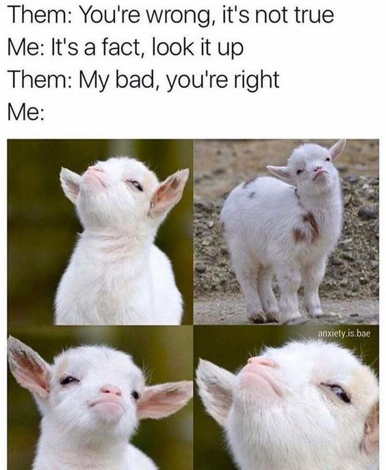 baby goat images