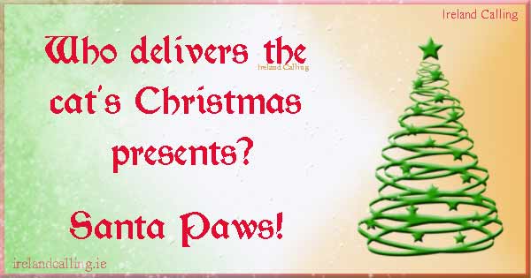 cute Christmas jokes