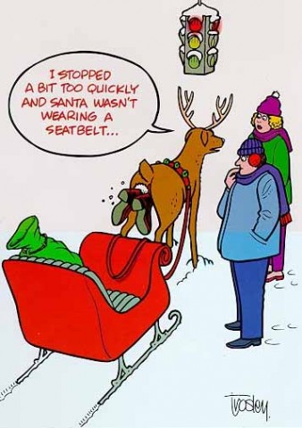 funny Christmas photo