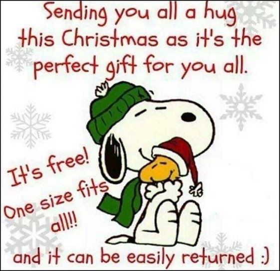 funny Christmas quotes sayings