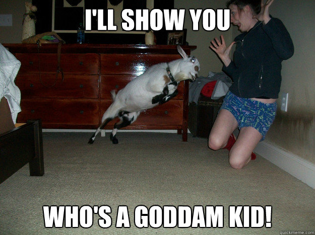 funny goat picture with captions