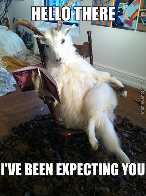 funny goat reading book caption image