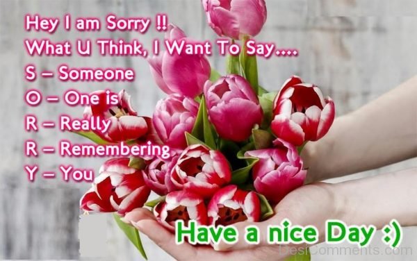 hey i am sorry