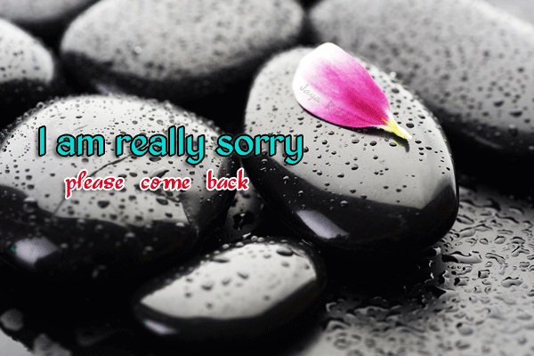 i am really sorry please come back