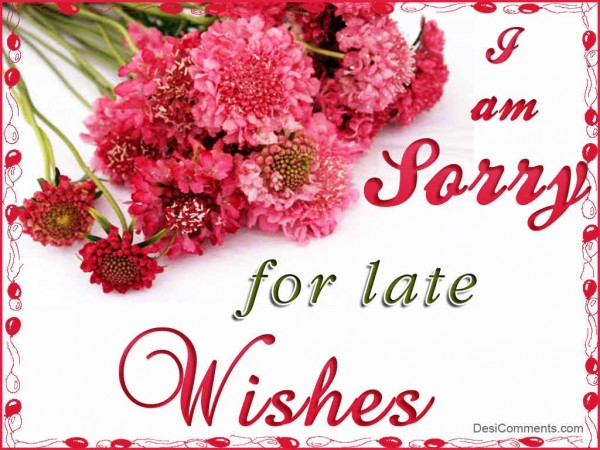 i am sorry for late wishes