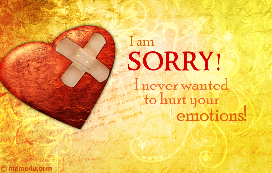 i am sorry i never wanted to hurt your emotions