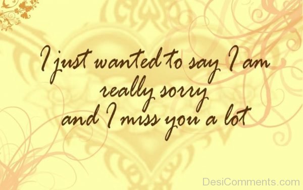 i just want to say i am really sorry