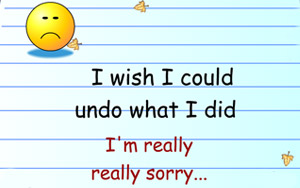 i wish i could undo what i did i'm really really sorry