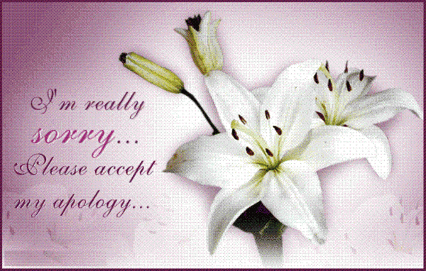 i'm really sorry please accept my apology