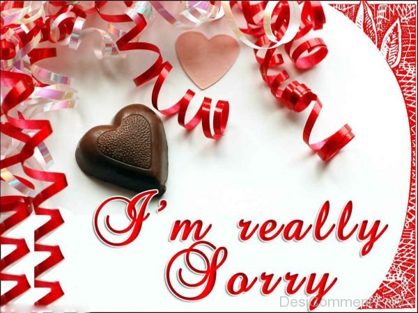 i'm really sorry