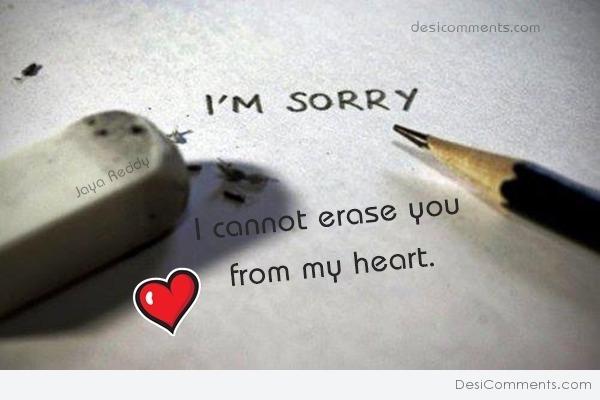 i'm sorry i cannot erase you from my heart