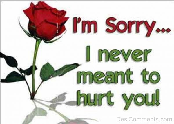 i'm sorry i never meant to hurt you