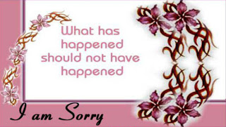 what has happened should not have happened i am sorry