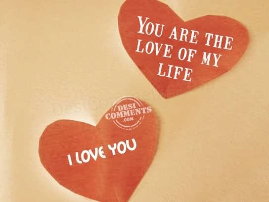 you are the love of my life i love you