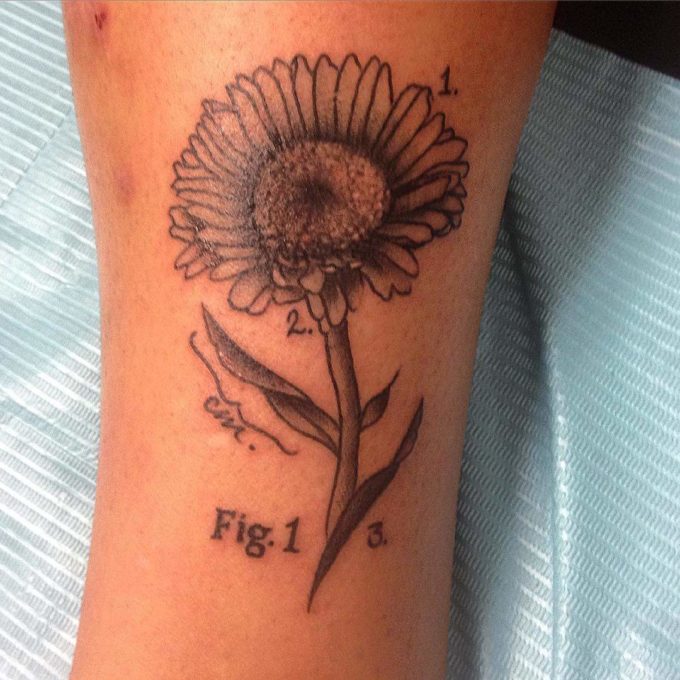 Aster Flower tattoo Diagram