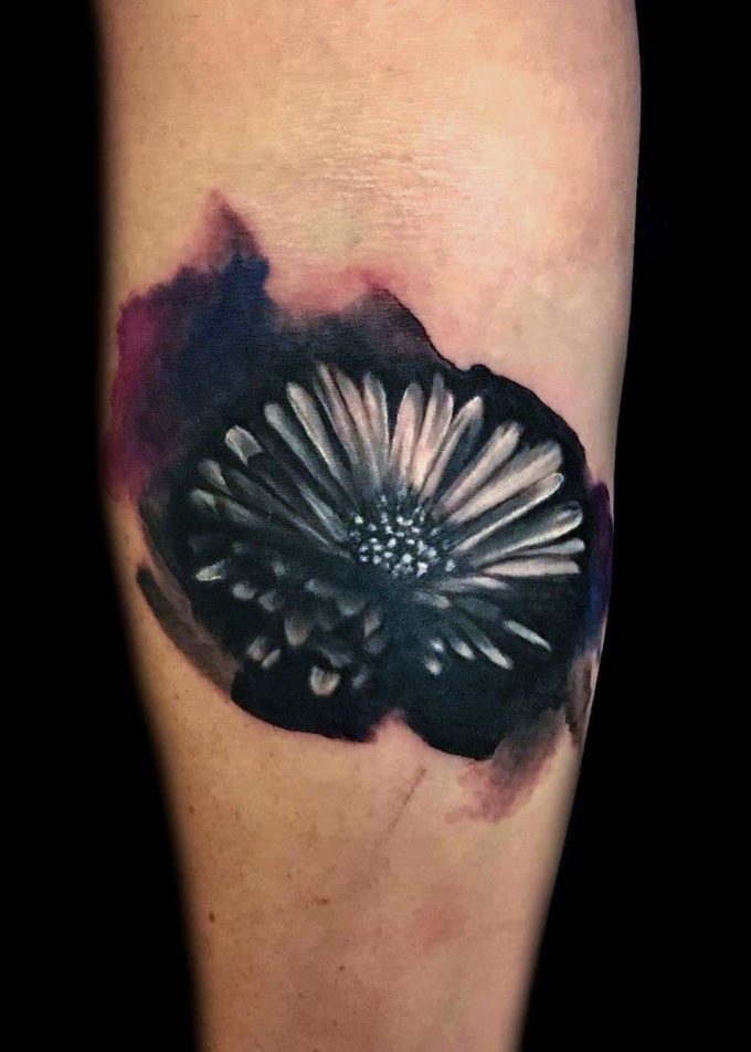 Black Watercolor Aster Flower Tattoo