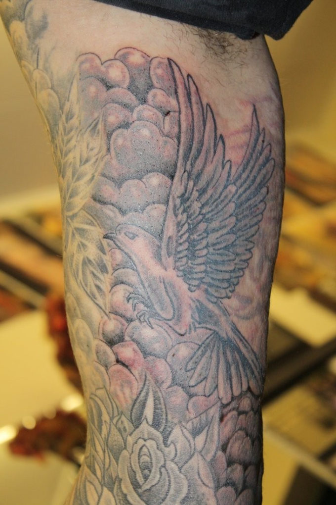 dove and rose tattoo picture on arm