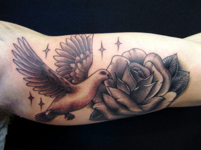dove with rose tattoo on bicep