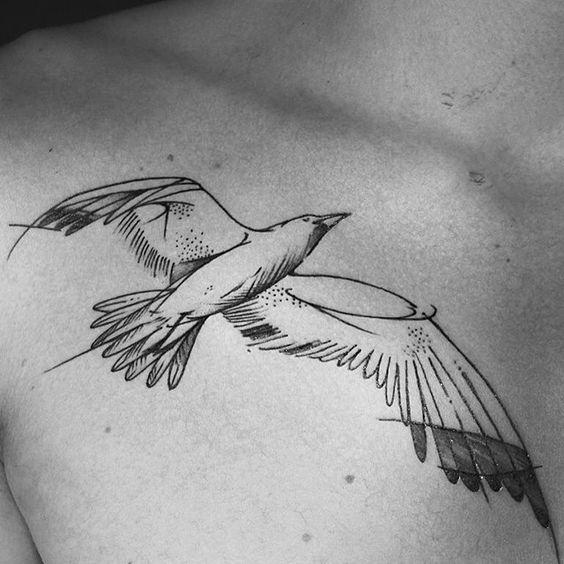 seagull tattoo sketch on chest for men