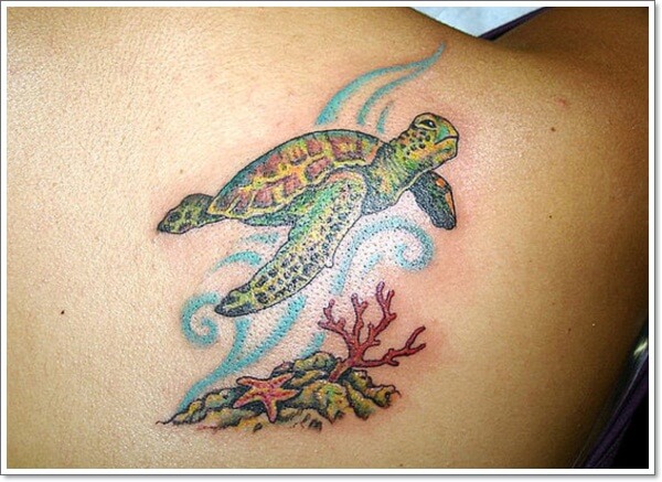 sea turtle tattoo on back shoulder