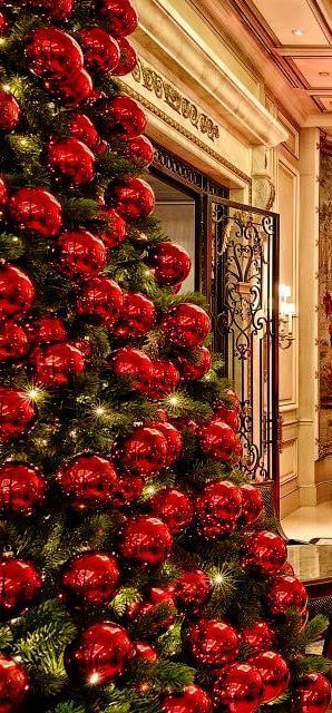 Christmas tree decors with lights