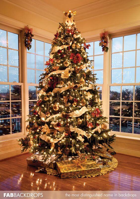 Christmas tree with lights