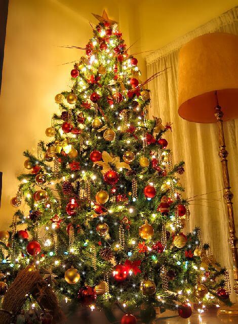 Illuminated Christmas tree lights