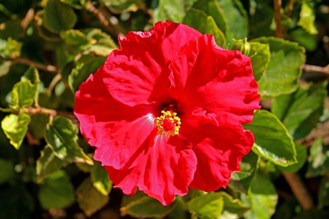 Botanical Garden Spain