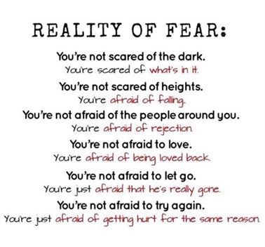 afraid to love quotes tumblr