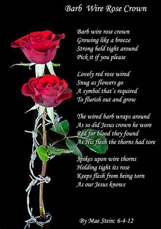 red rose love quotes