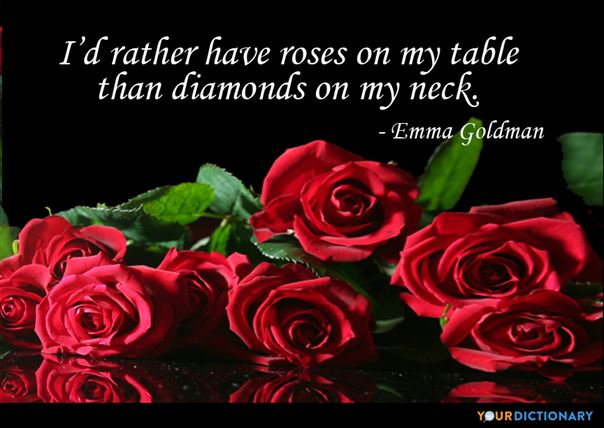 roses and love quote