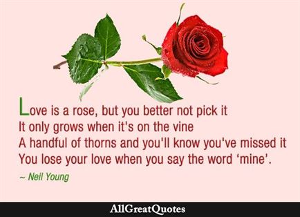 rose love quotes