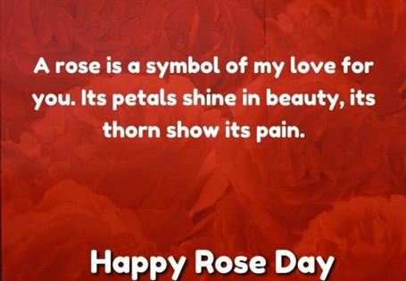 rose quote