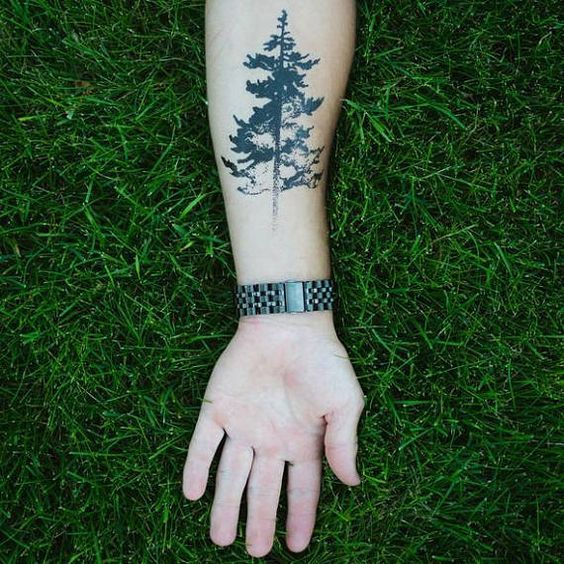 25+ Evergreen Tree Tattoo Designs and Ideas – EntertainmentMesh