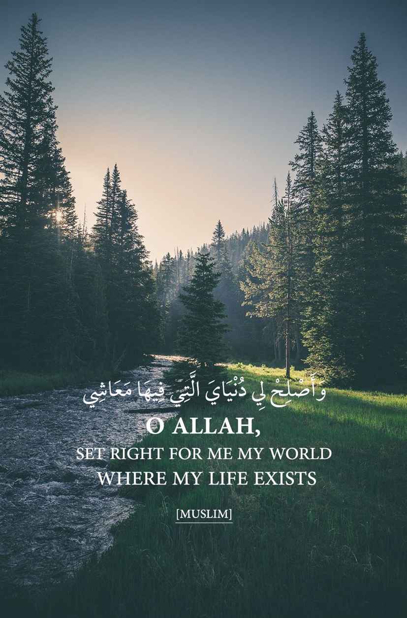 25 Beautiful Islamic Quotes About Life With Images – EntertainmentMesh