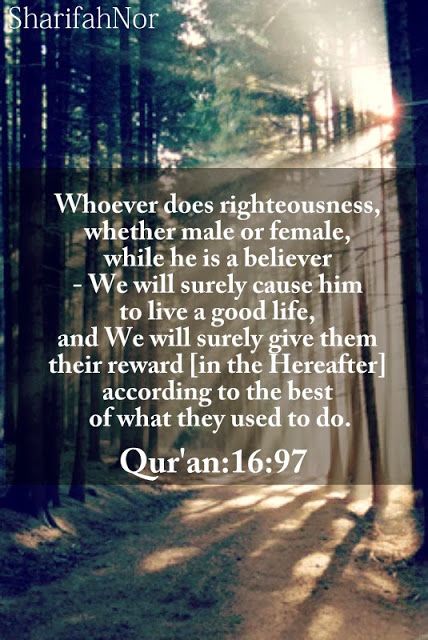 Quran quotes about life