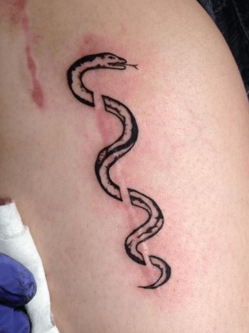 snake scars and stretch marks tattoo art
