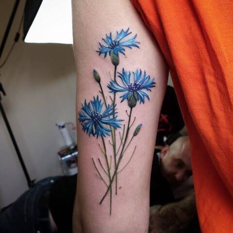 cornflower tattoo design on arm back