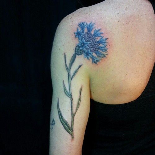 cornflower tattoo design on back arm shoulder