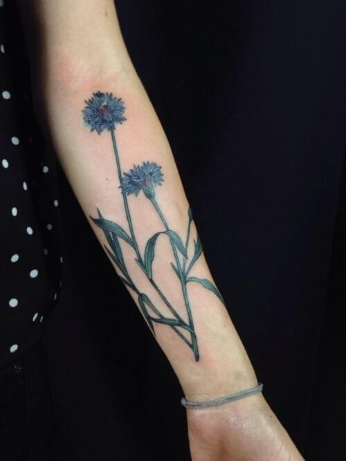 cornflower tattoo design on forearm for females